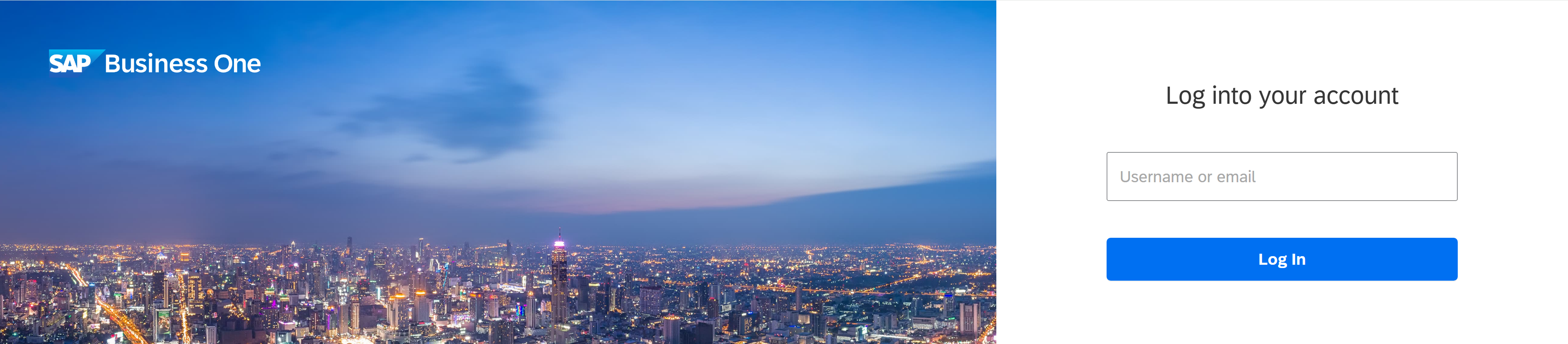 screen showing logging in