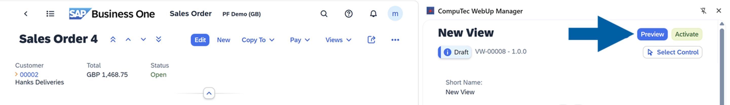screen showing preview the view action