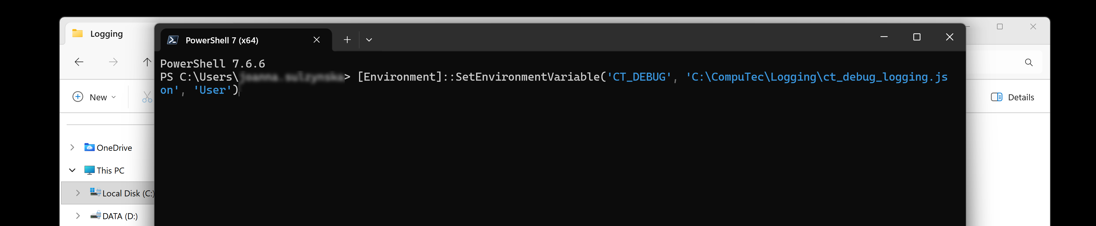 The ct_debug_logging.json file with the detailed logging configuration