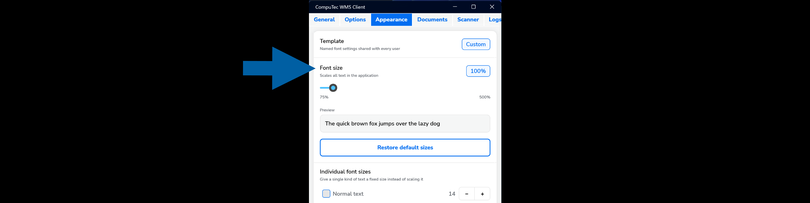 Font size slider, preview panel, and Restore default sizes button