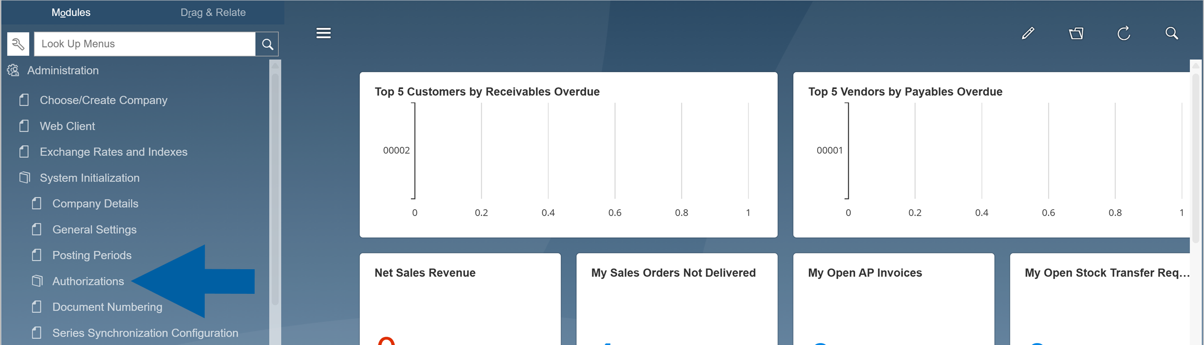 navigation to authorizations tab in sap business one