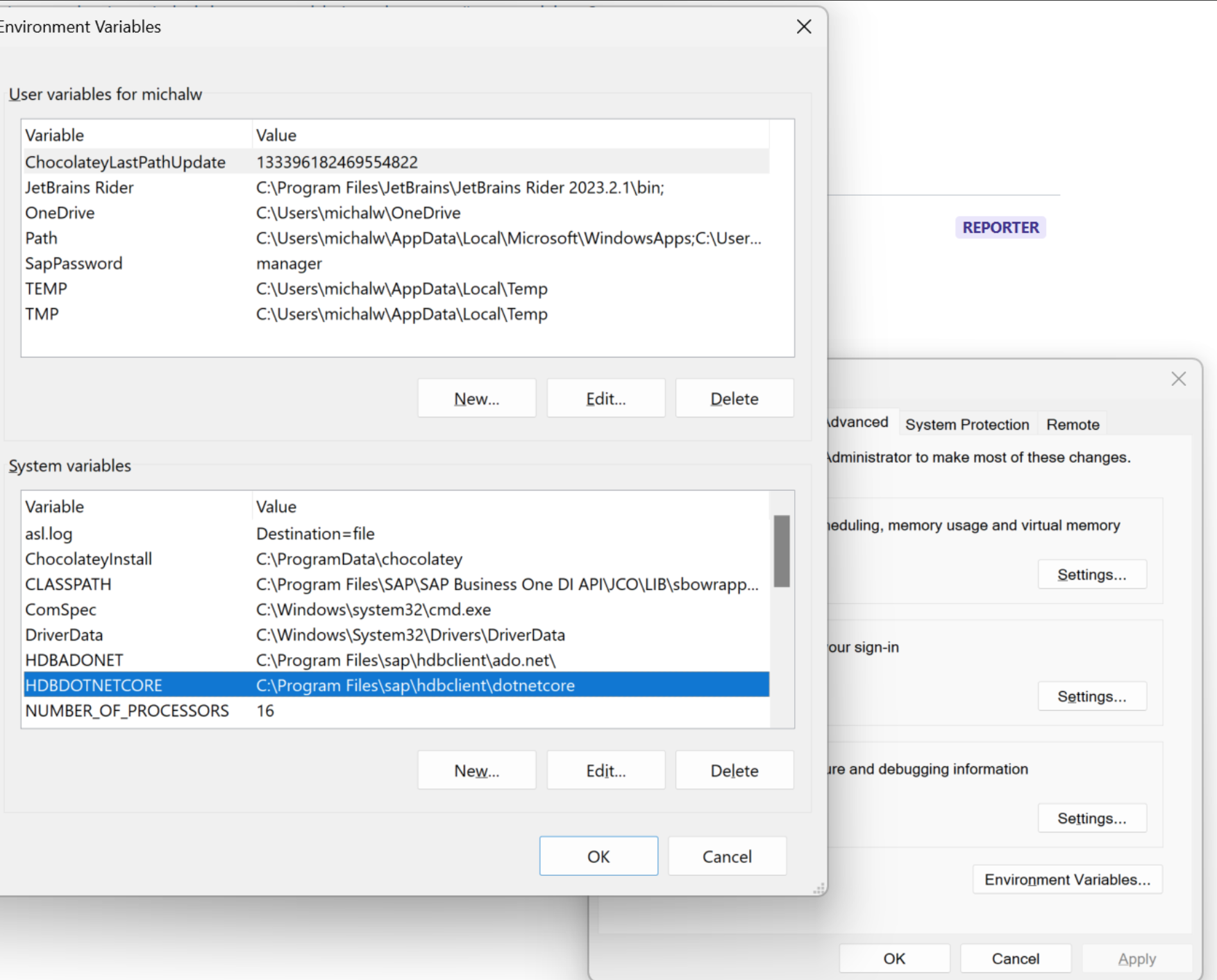 System Variable